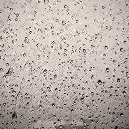 画像 NELL / BLUE の記事より