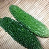 ニガウリの画像
