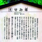 443、取材旅行「山寺〜最上川〜銀山」の記事より