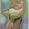 魅惑の蛙の画像