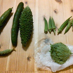 家庭教師のえーるのブログ-夏野菜のおすそ分け１