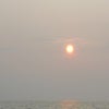 熱いぜ　石花海のオニカサゴ　の画像