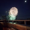 多摩川花火の画像