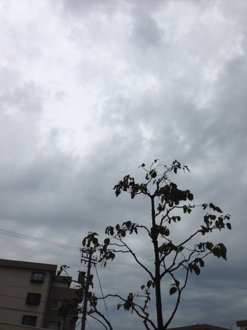 投稿写真