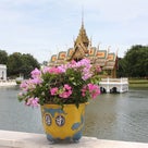 タイ　ランチクルーズとバンパイン宮殿の記事より