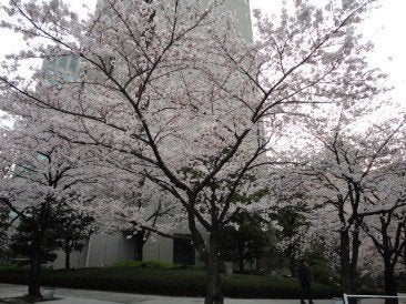 隅田リバーサイドタワー　エリアリポートのブログ