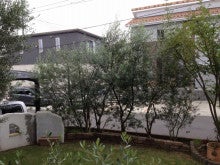 ぼくのオリーブの木とお庭