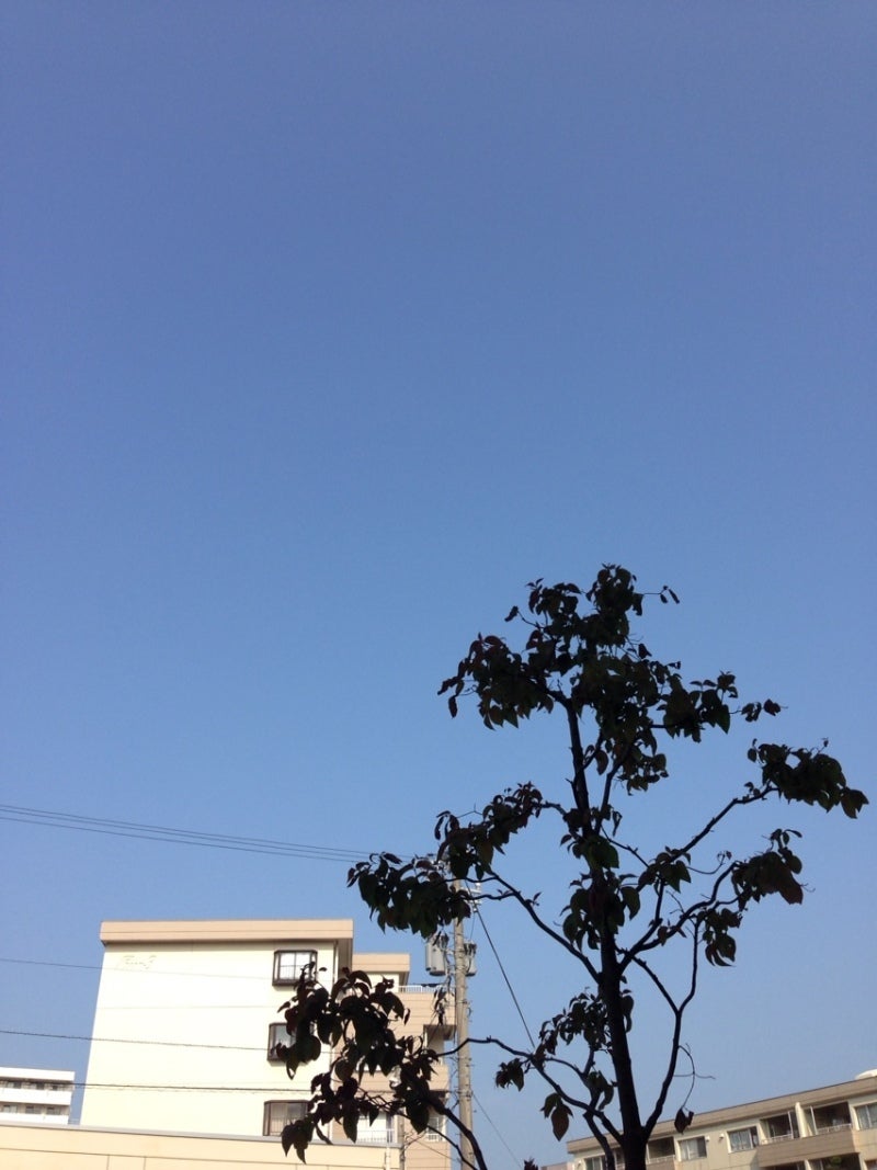 投稿写真