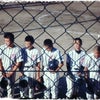 野球、準決勝。の画像