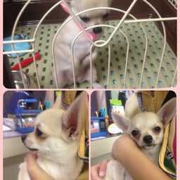 投稿写真