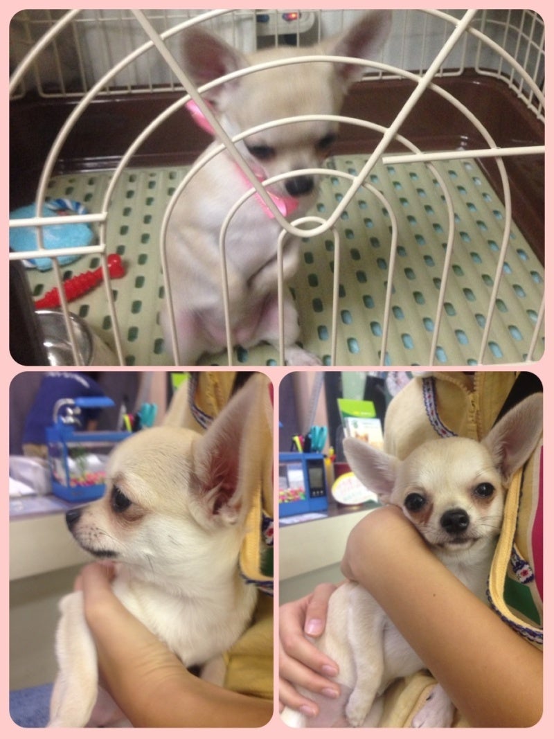 投稿写真