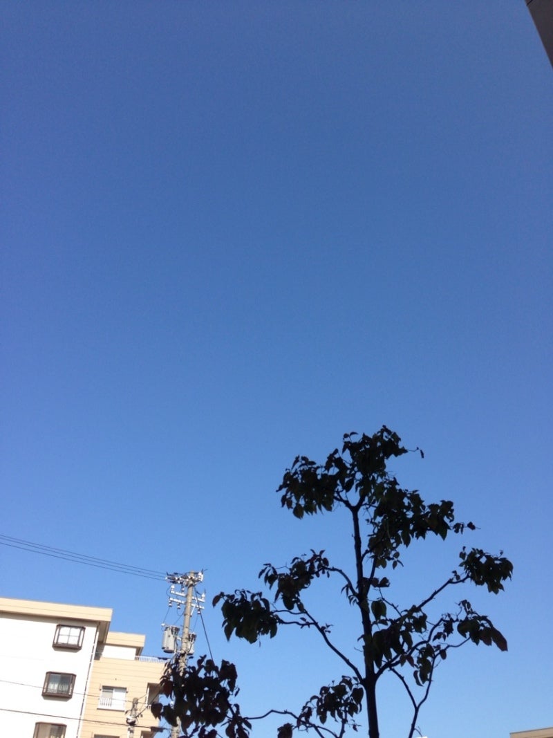 投稿写真