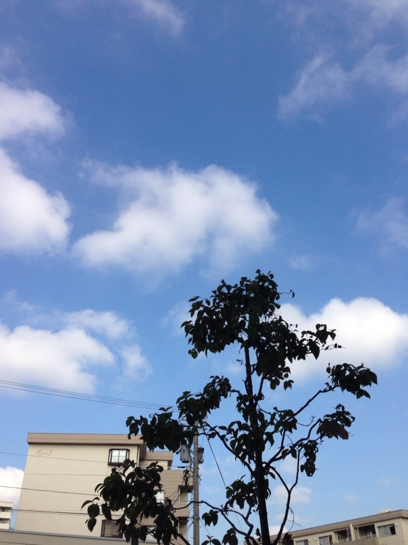 投稿写真