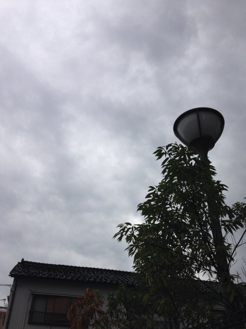 投稿写真