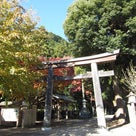 パワースポットの高麗神社で安明子先生のキムジャンイベント！の記事より