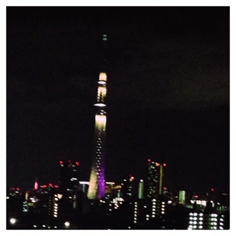 10月12日（11日目）の記事画像