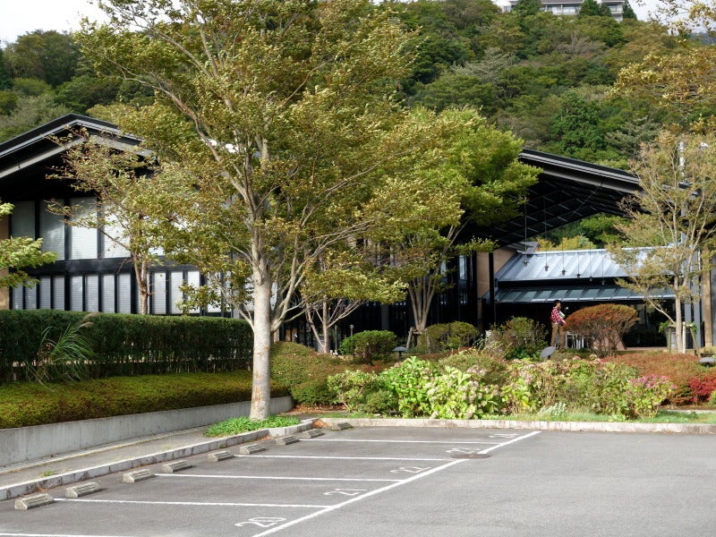 箱根へ ラ テラッツァでランチ 箱根園水族館 ノーフォークテリア Liroの気ままな生活