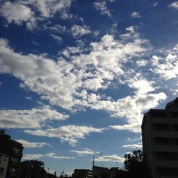 {0DB0B5EB-CFA1-40BA-B7E5-25DD81F6B6FA:01}
