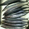 秋刀魚はやっぱり北海道♪の画像