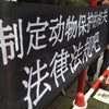 【拡散希望】１２月１９日（木）・第２回　どうぶつたちを守りたい　中国大使館前訴えデモ ！の画像