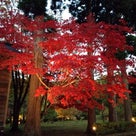 秋の函館② 香雪園の紅葉の記事より