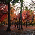 秋の函館② 香雪園の紅葉の記事より