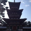 奈良世界遺産寺の画像