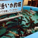 秋の函館⑤　朝市とかいろいろの記事より