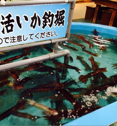 秋の函館⑤　朝市とかいろいろの記事より