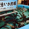 秋の函館⑤　朝市とかいろいろの画像