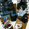 ☆GIN☆ Happy Birthdayの画像