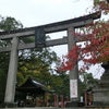 ♪♪♪　いくぜ、秋の京都 201311.10 【京都府：京都市】　♪♪♪の画像