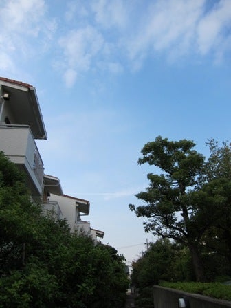 【社長日記】リノベーションは名古屋の一級建築士事務所アネストワン