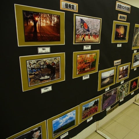 写真の展示の記事画像