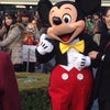 ディズニーランドまとめの画像