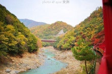 京都散歩の旅-紅葉漫喫！嵐山トロッコ列車