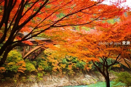 京都散歩の旅-紅葉漫喫！嵐山トロッコ列車
