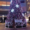 相模大野駅のクリスマスツリーの画像