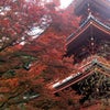 清水山の紅葉の画像