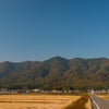 ２０１３紅葉　①大平山の画像