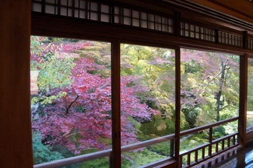 京都で暮らす四十路女の独り言
