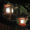 祇園白川の夜景の画像