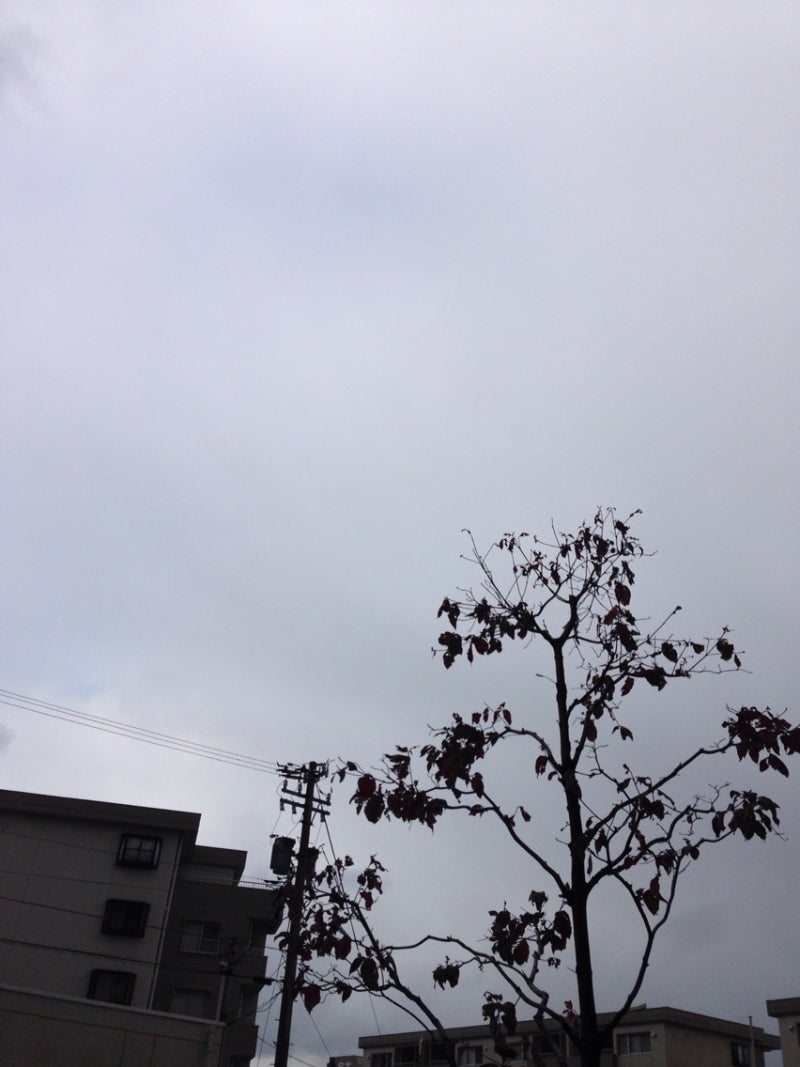 Simplogで写真を見る 投稿写真