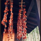 白樺の森の中のパン屋✩POTORI　BAKERYの記事より