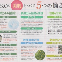 画像 完売商品についてのお詫び の記事より 2つ目