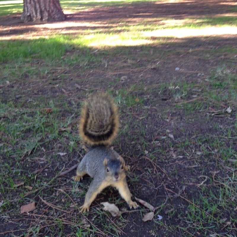 投稿写真