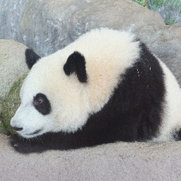 きっとのブログ