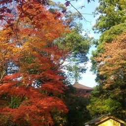 画像 紅葉☆ TT の記事より 10つ目