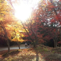 画像 紅葉☆ TT の記事より 4つ目