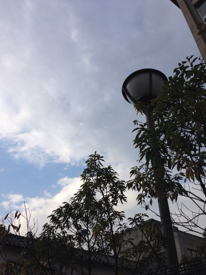 投稿写真